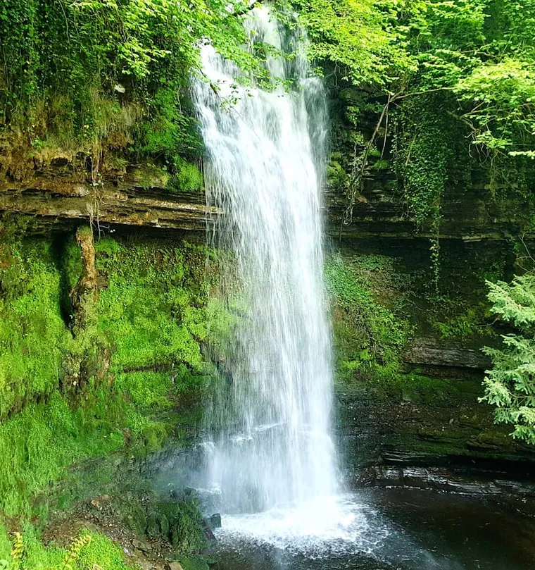 Chéile Wellbeing adult mental health occupational therapy: a waterfall falling into a green, moss-covered glen in the West of Ireland